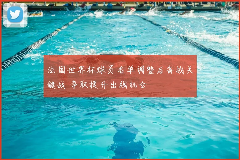 法国世界杯球员名单调整后备战关键战 争取提升出线机会