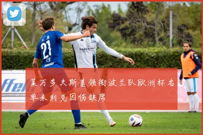 莱万多夫斯基领衔波兰队欧洲杯名单米利克因伤缺席