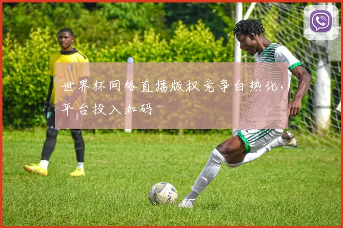 世界杯网络直播版权竞争白热化,平台投入加码